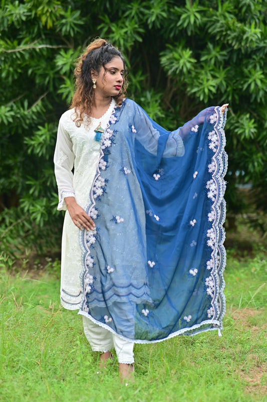 White Georgette embroidery with Navy Blue Organza Dupatta